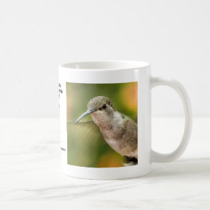 Vrouw Black Chin Hummingbird Mok