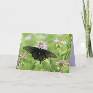 Vrouw Black Swallowtail Kaart