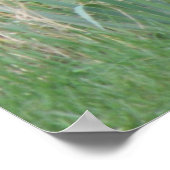 Vrouw Blackbird Print (Hoek)