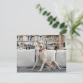 Vrouw Briefkaart (Staand voorkant)