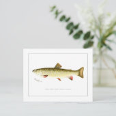 Vrouw Brook Trout Briefkaart (Staand voorkant)