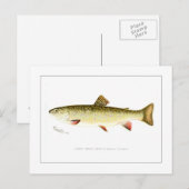 Vrouw Brook Trout Briefkaart (Voorkant / Achterkant)