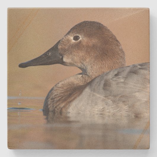 Vrouw Canvasback duck Profile Stenen Onderzetter (Voorkant)