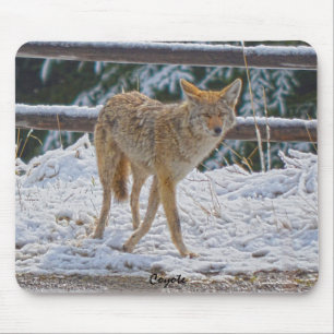 Vrouw Coyote jacht op sneeuw #Gift Mousepad Muismat