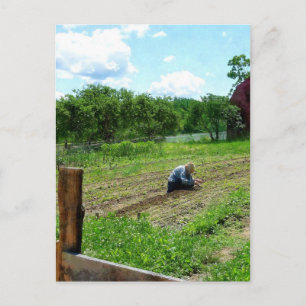 Vrouw die een tuin nabij Barn plant Briefkaart
