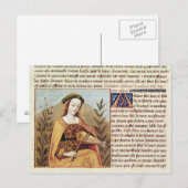 Vrouw die een viool speelt briefkaart (Voorkant / Achterkant)