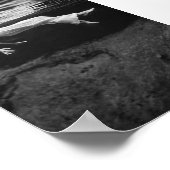 Vrouw Drijvend Onderwater Zwart-wit  Poster (Hoek)