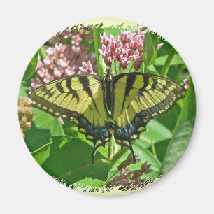 Vrouw Eastern Tiger Swallowtail Butterfly Magnet Magneet