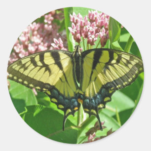 Vrouw Eastern Tiger Swallowtail Butterfly Series Ronde Sticker