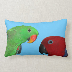vrouw eclectus parrot kussen