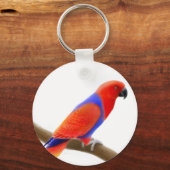 Vrouw Eclectus Parrot Sleutelhanger (Voorkant)