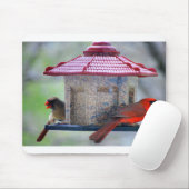 Vrouw- en mannenkardinalen in Bird Feeder Mousepad Muismat (Met muis)