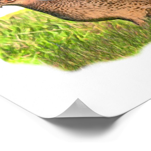 Vrouw fazant in gras poster (Hoek)