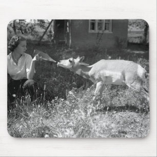 Vrouw flesje voedt een antilope. muismat