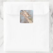 Vrouw Gambel's Quail Vierkante Sticker (Tas)
