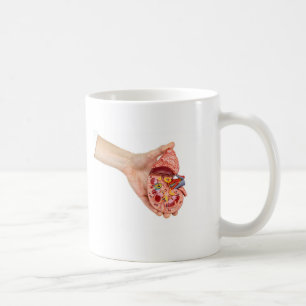 Vrouw hand houdmodel van de menselijke nier koffiemok