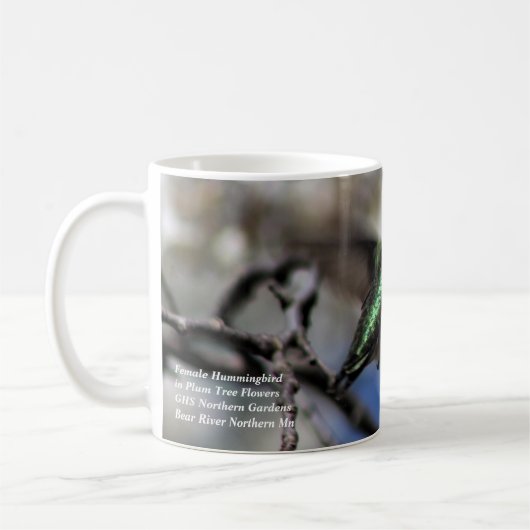 Vrouw Hummingbird in Plum Tree Koffiemok (Links)