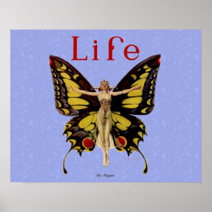 Vrouw Illustratie Fladderende Vlinder Vliegend Poster