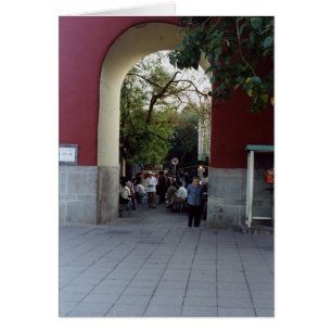 Vrouw in een Archway