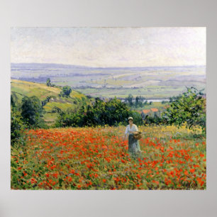 Vrouw in een papaverveld poster