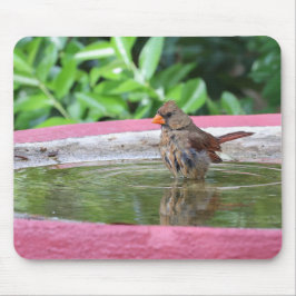Vrouw Kardinaal bij Birdbath Muismat
