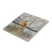 Vrouw kardinaal in de City Ceramic Tile Tegeltje (Zijkant)