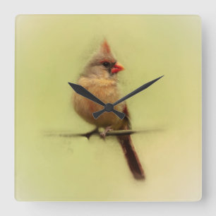 Vrouw Kardinaal Songbird Vierkante Klok