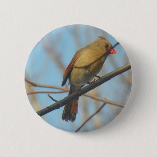 Vrouw kardinaal/vogel ronde button 5,7 cm
