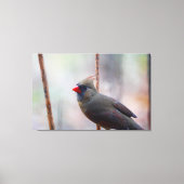 Vrouw kardinale vogel canvas afdruk (Voorkant)