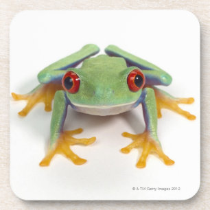 Vrouw kikker bier onderzetter