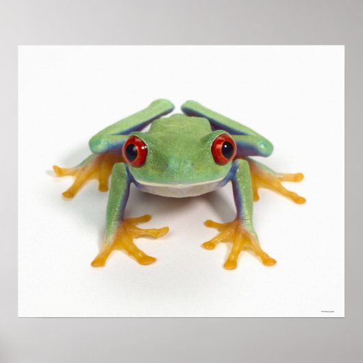 Vrouw kikker poster (Voorkant)
