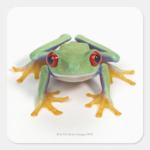 Vrouw kikker vierkante sticker