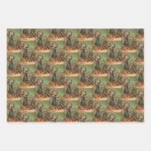 Vrouw Krampus inpakpapier set Vel (Voorkant 3)