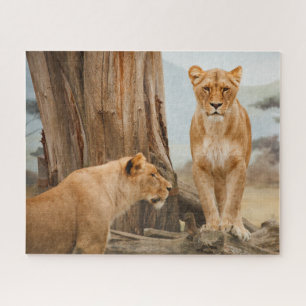 Vrouw leeuwen die bij dode bomen zitten legpuzzel