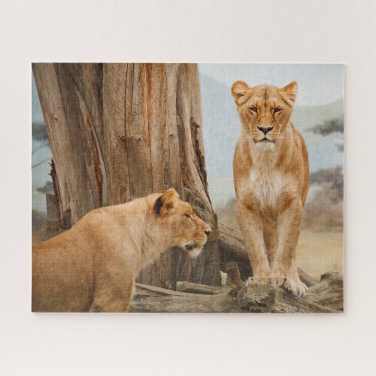 Vrouw leeuwen die bij dode bomen zitten legpuzzel (Horizontaal)