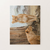 Vrouw leeuwen die bij dode bomen zitten legpuzzel (Verticaal)