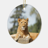 Vrouw Lion Keramisch Ornament (Links)