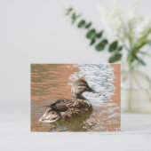 Vrouw Mallard Briefkaart (Staand voorkant)