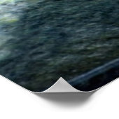 Vrouw Mallard Duck 24X24 Poster (Hoek)