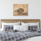 Vrouw Mallard Duck Closeup Foto Canvas Afdruk (Insitu (Slaapkamer))