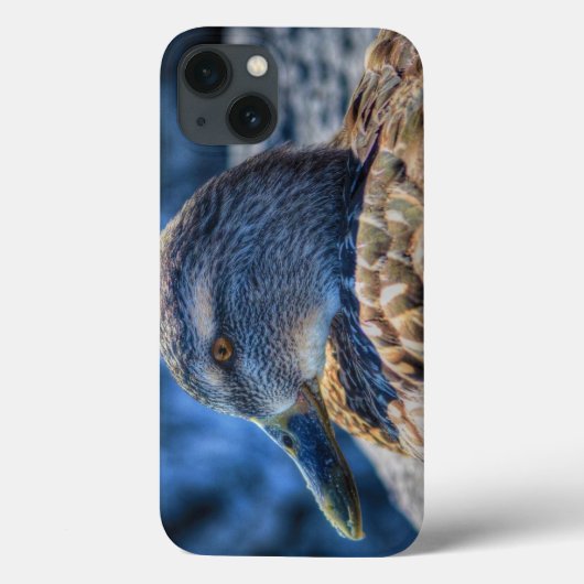 Vrouw Mallard Duck Wildlife Portret Case-Mate iPhone Case (Achterkant)