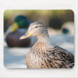 Vrouw Mallard Muismat