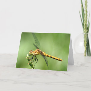Vrouw Meadow Hawk Notecard Kaart