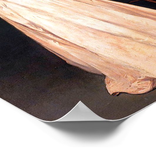 Vrouw met een papegaai van Édouard Manet Poster (Hoek)