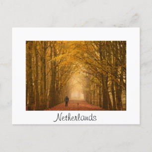 Vrouw met hond op de herfst-ochtendkaart briefkaart