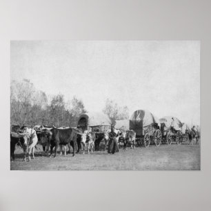 Vrouw met Ox-trein houdt een foto van het heupprog Poster