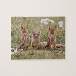 Vrouw met wift fox (Vulpes velox) met jonge Legpuzzel