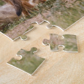 Vrouw met wift fox (Vulpes velox) met jonge Legpuzzel (Zijkant)