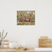 Vrouw met wift fox (Vulpes velox) met jonge Poster (Keuken)