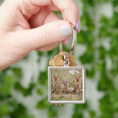 Vrouw met wift fox (Vulpes velox) met jonge Sleutelhanger (Hand)